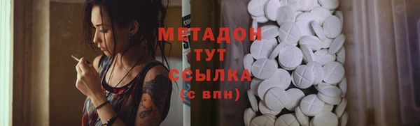 гашик Алексин