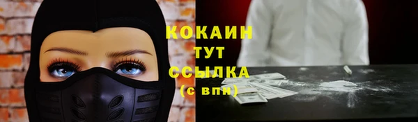 гашик Алексин