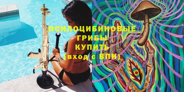 гашик Алексин