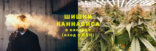 гашик Алексин