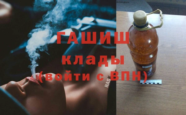 гашик Алексин