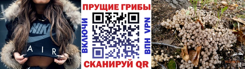 Галлюциногенные грибы ЛСД  Петровск 
